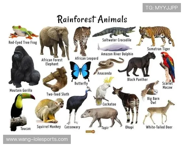 足球球星鸟类命名揭秘:他们与大自然的特殊联系与象征意义 足球球星鸟类命名揭秘:他们与大自然的特殊联系与象征意义